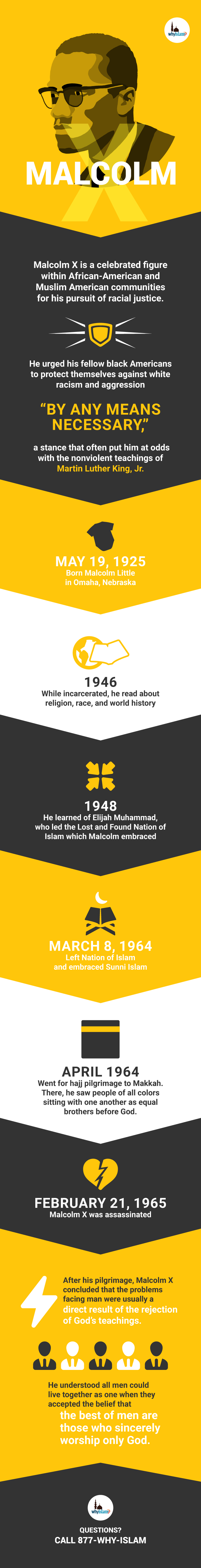 Malcolm X Infographic