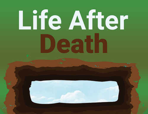 Life After Death Infographic